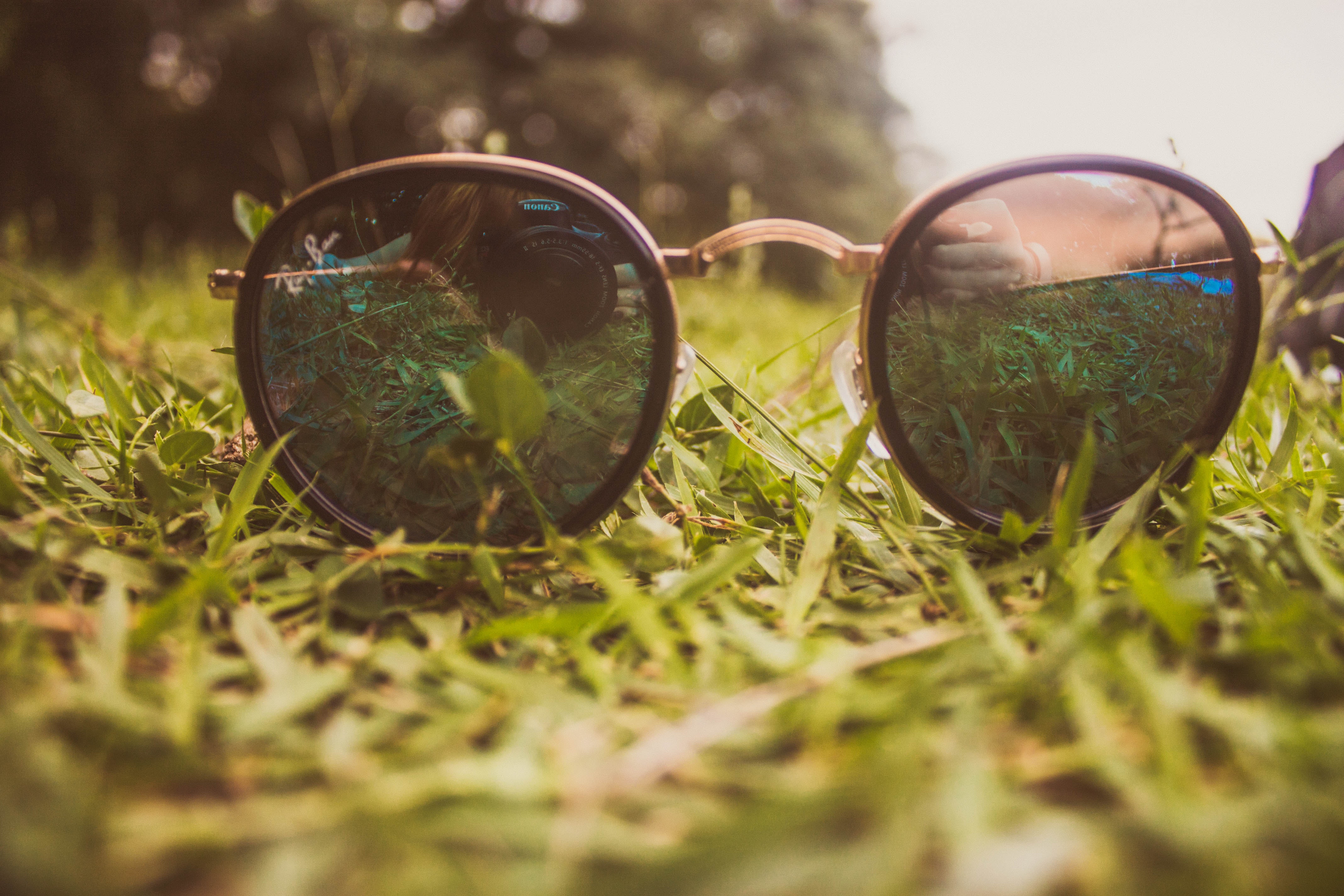 Sunglasses, park, grass